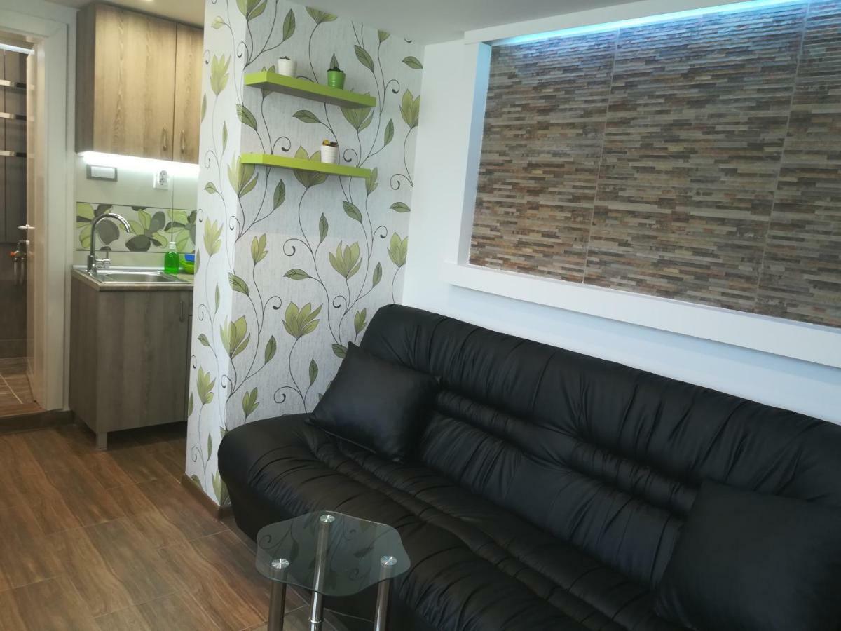 Classy And Cozy - Parking - 3 Beds - Near Center Novi Sad Dış mekan fotoğraf